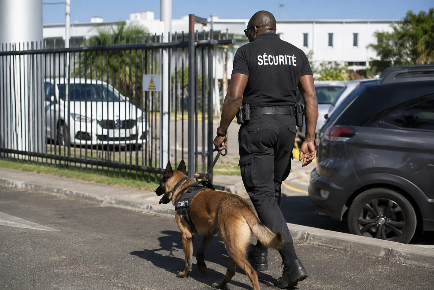 Agent cynophile DDI et son maître-chien en ronde de sécurité en Guadeloupe